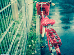 Zwote gegen SC Preußen Münster 06 am 12.5.2021 um 19:30 Uhr 2:4